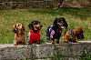 picnic_land_A-0389_thumb.png
