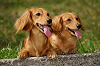 picnic_land_A-0438_thumb.png