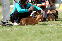 picnic_land_A-0449.jpg