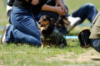 picnic_land_A-0452.jpg