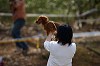 picnic_land_A-0455_thumb.png