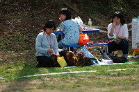 picnic_land_A-0458.jpg