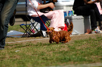 picnic_land_A-0465.jpg