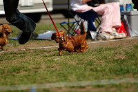 picnic_land_A-0466.jpg