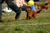 picnic_land_A-0467_thumb.png