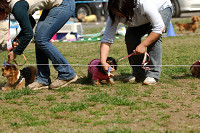picnic_land_A-0468.jpg