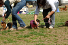 picnic_land_A-0468_thumb.png