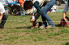 picnic_land_A-0469_thumb.png