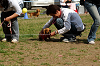 picnic_land_A-0470_thumb.png
