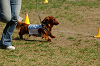 picnic_land_A-0471_thumb.png