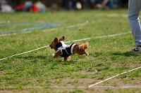 picnic_land_A-0476.jpg