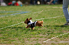 picnic_land_A-0476_thumb.png