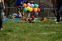 picnic_land_A-0477.jpg