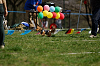 picnic_land_A-0477_thumb.png