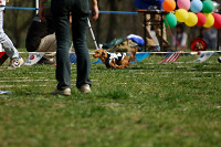 picnic_land_A-0478.jpg