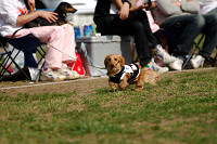 picnic_land_A-0479.jpg