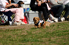 picnic_land_A-0479_thumb.png