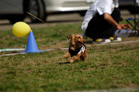 picnic_land_A-0480.jpg