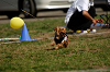 picnic_land_A-0480_thumb.png