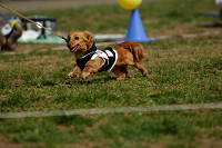 picnic_land_A-0481.jpg