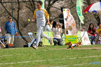 picnic_land_A-0485.jpg