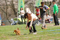 picnic_land_A-0487.jpg