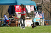 picnic_land_A-0488_thumb.png