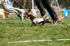 picnic_land_A-0491_thumb.png