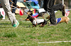 picnic_land_A-0492_thumb.png