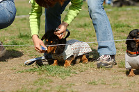 picnic_land_A-0494.jpg