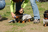 picnic_land_A-0494_thumb.png