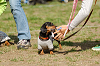 picnic_land_A-0495_thumb.png