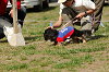 picnic_land_A-0496_thumb.png