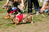 picnic_land_A-0497_thumb.png