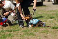 picnic_land_A-0498.jpg