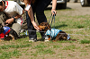 picnic_land_A-0498_thumb.png