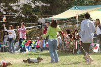 picnic_land_A-0499.jpg