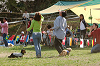 picnic_land_A-0500_thumb.png