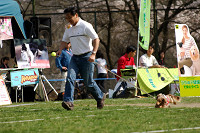 picnic_land_A-0501.jpg