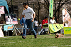 picnic_land_A-0501_thumb.png