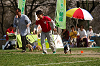 picnic_land_A-0502_thumb.png