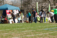 picnic_land_A-0509.jpg