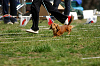 picnic_land_A-0511_thumb.png
