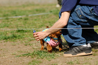 picnic_land_A-0513.jpg