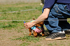 picnic_land_A-0513_thumb.png