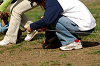 picnic_land_A-0514_thumb.png