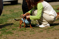 picnic_land_A-0515.jpg