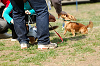 picnic_land_A-0516_thumb.png