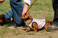 picnic_land_A-0517.jpg