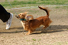 picnic_land_A-0519_thumb.png